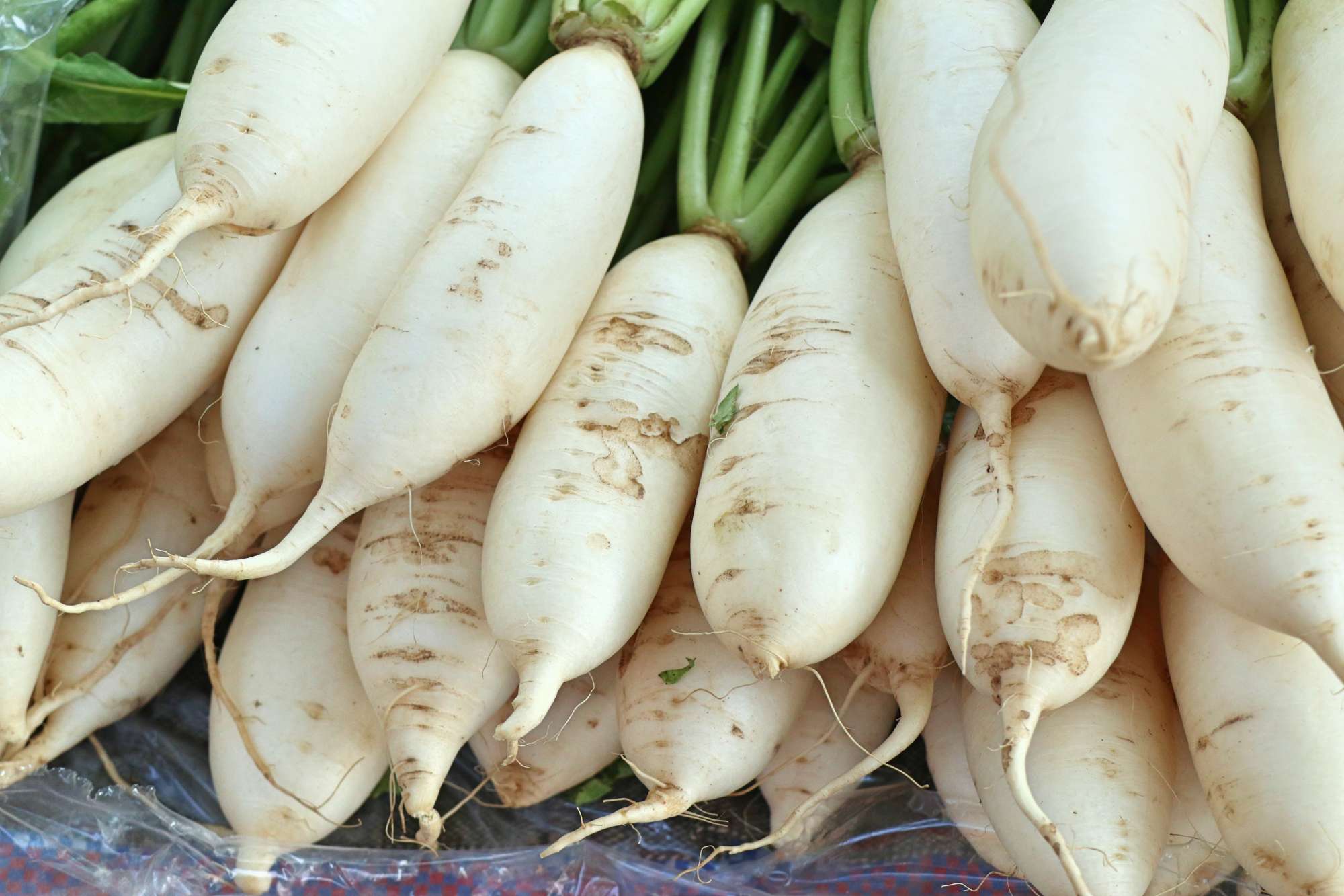 White Radish _ Crocus Media.jpg